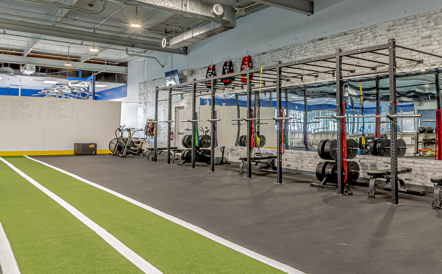 60 Minute Dryland Multi-Pack