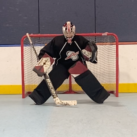 Synthetic Ice Goalie Training - Save Selection & Puck Tracking