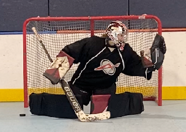 Synthetic Ice Goalie Training - Save Selection & Puck Tracking