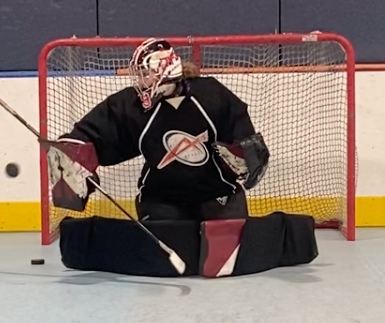 Synthetic Ice Goalie Training - Save Selection & Puck Tracking