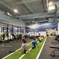 Training Camp Tune Up